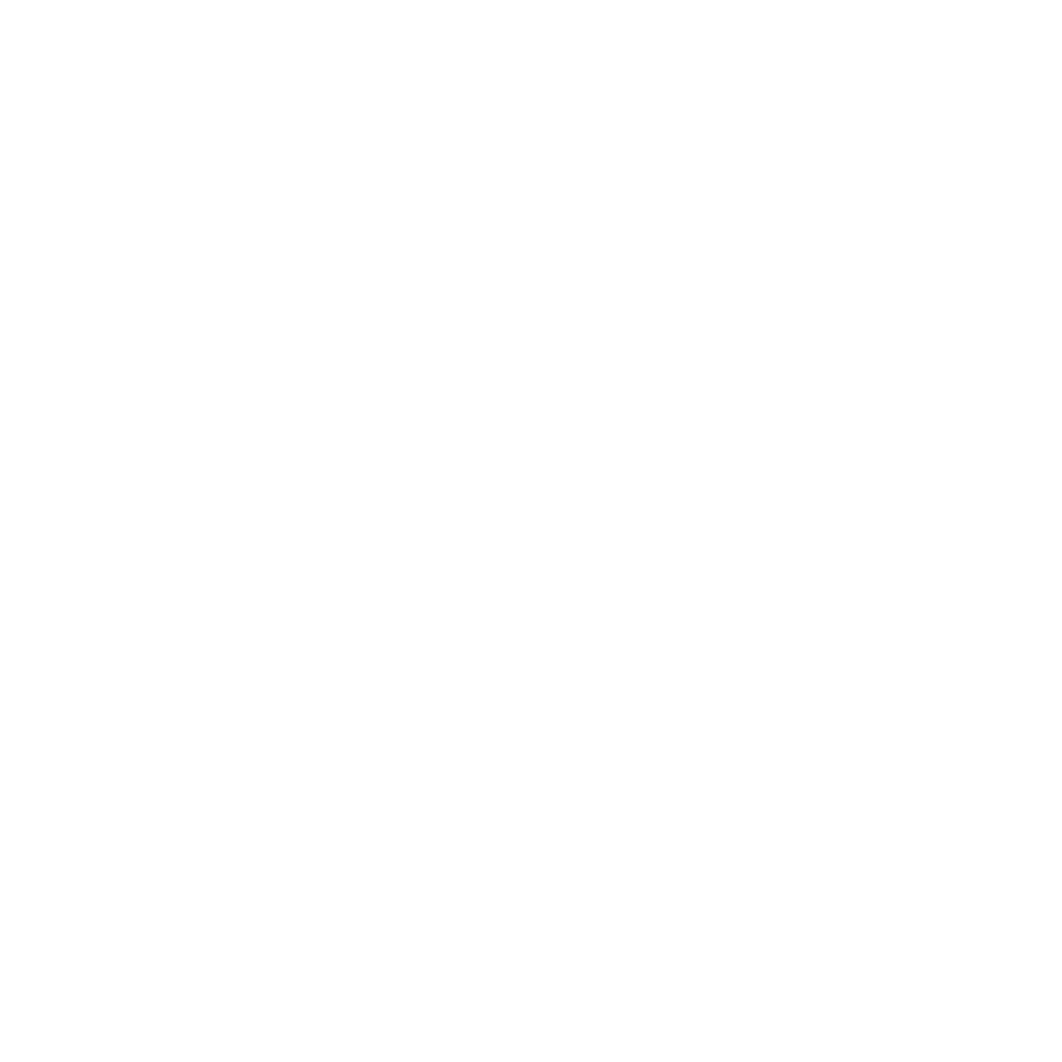 An icon of a person with a gear and document, representing management or consulting services.